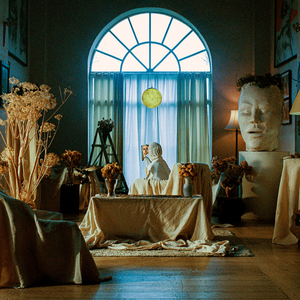 熟妇荡欲视频在线
