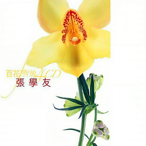 熟妇荡欲视频在线
