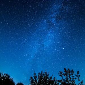 熟妇荡欲视频在线
