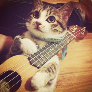 熟妇荡欲视频在线
