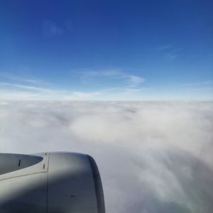 熟妇荡欲视频在线
