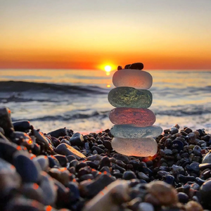 熟妇荡欲视频在线
