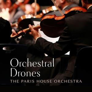 熟妇荡欲视频在线
